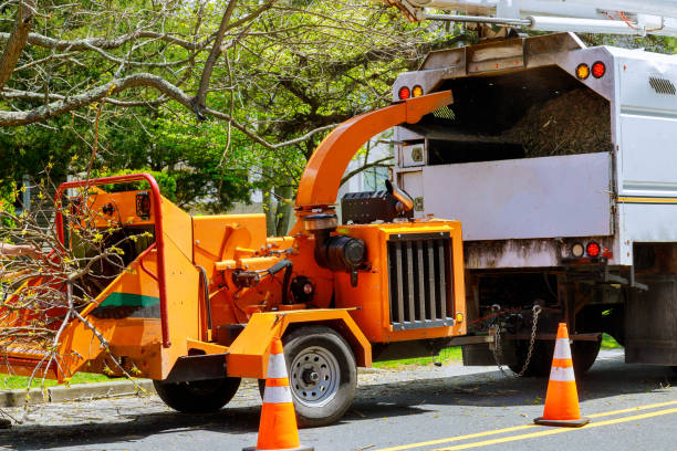 Reliable Pontiac, IL Tree Removal and Landscaping Services Solutions